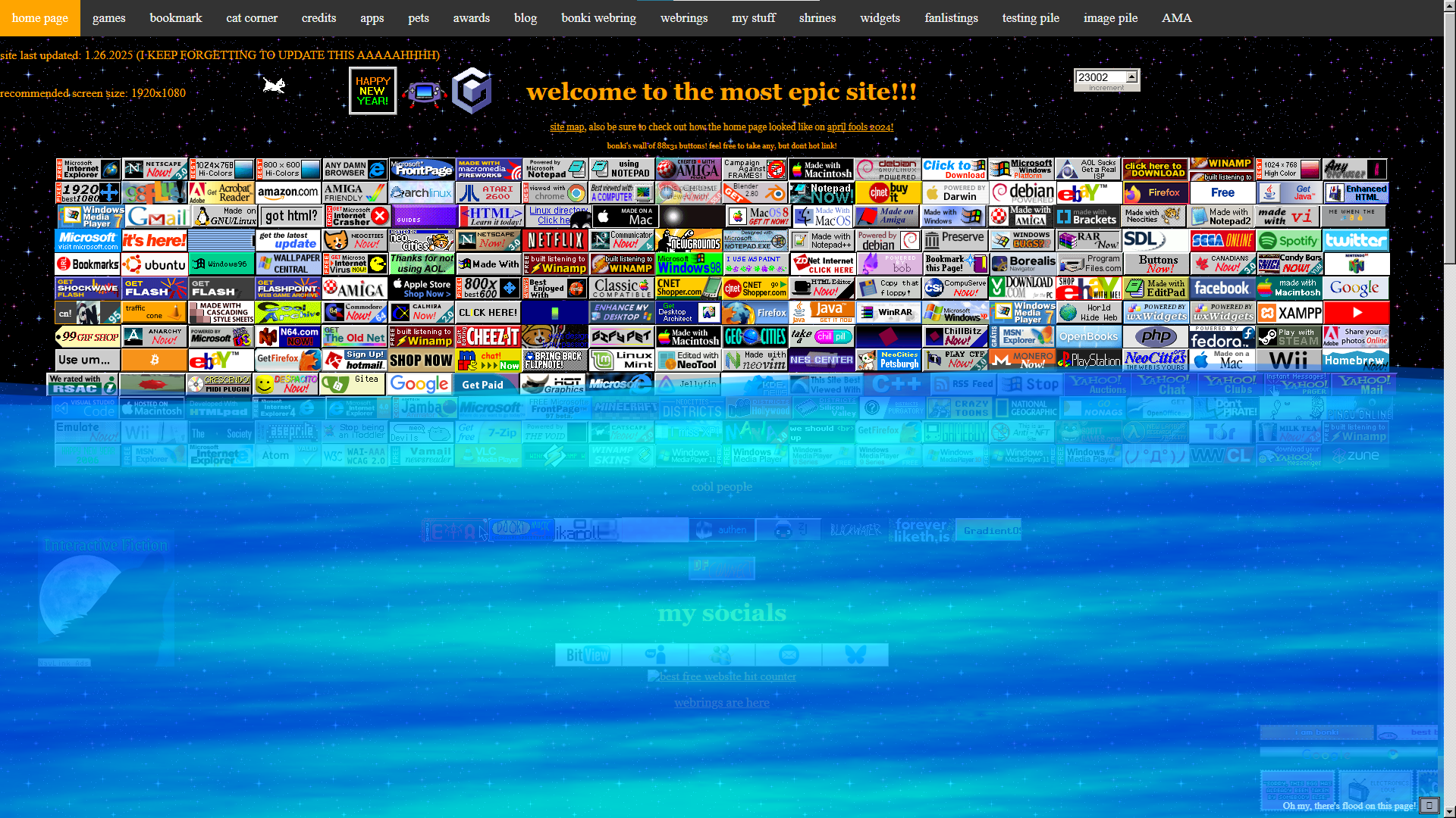website screenshot